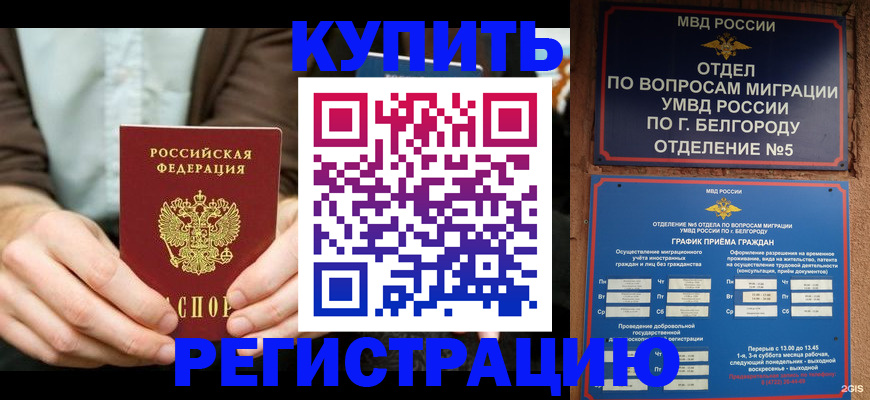 прописка 2025 в Железногорск-Илимском